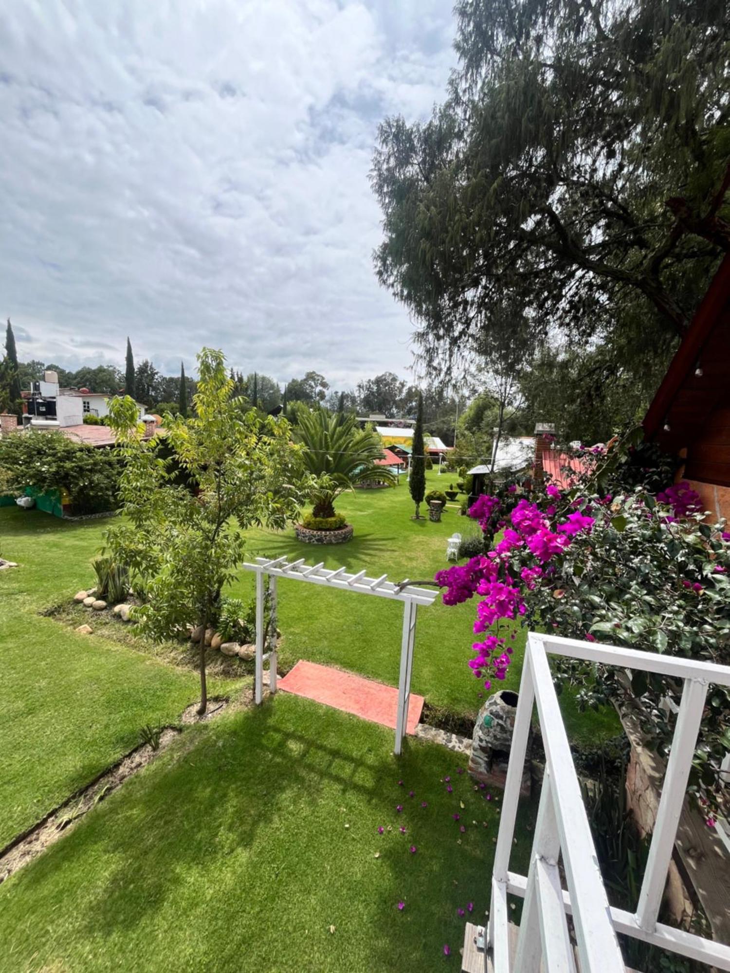 Cabanas Cumbres De Aguacatitla Huasca de Ocampo Exteriér fotografie