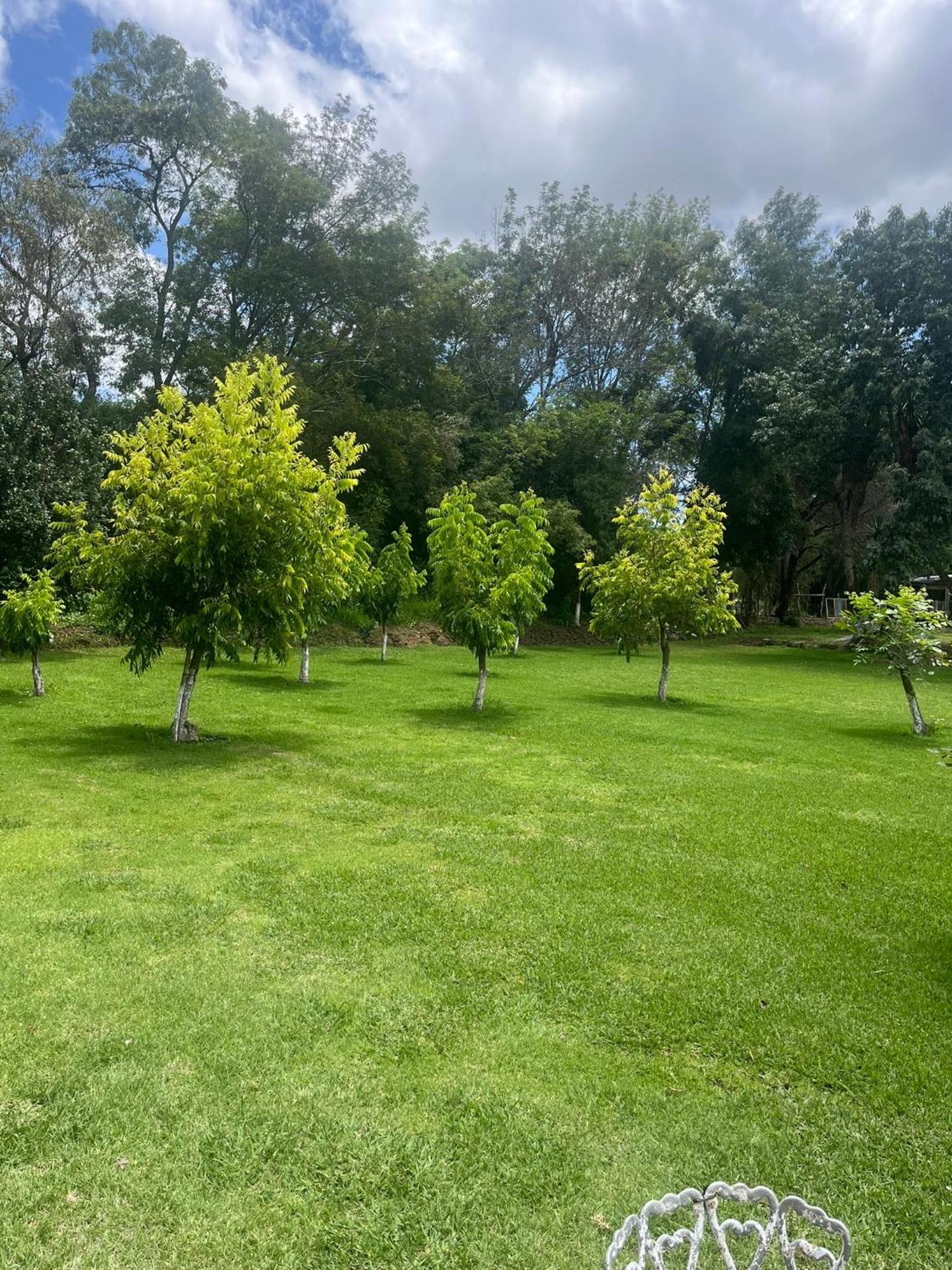 Cabanas Cumbres De Aguacatitla Huasca de Ocampo Exteriér fotografie