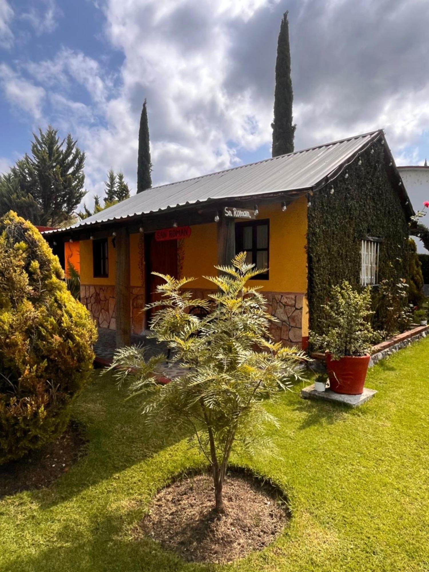 Cabanas Cumbres De Aguacatitla Huasca de Ocampo Exteriér fotografie