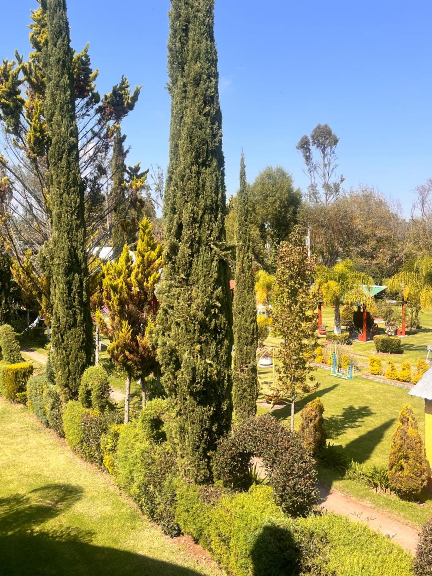 Cabanas Cumbres De Aguacatitla Huasca de Ocampo Exteriér fotografie