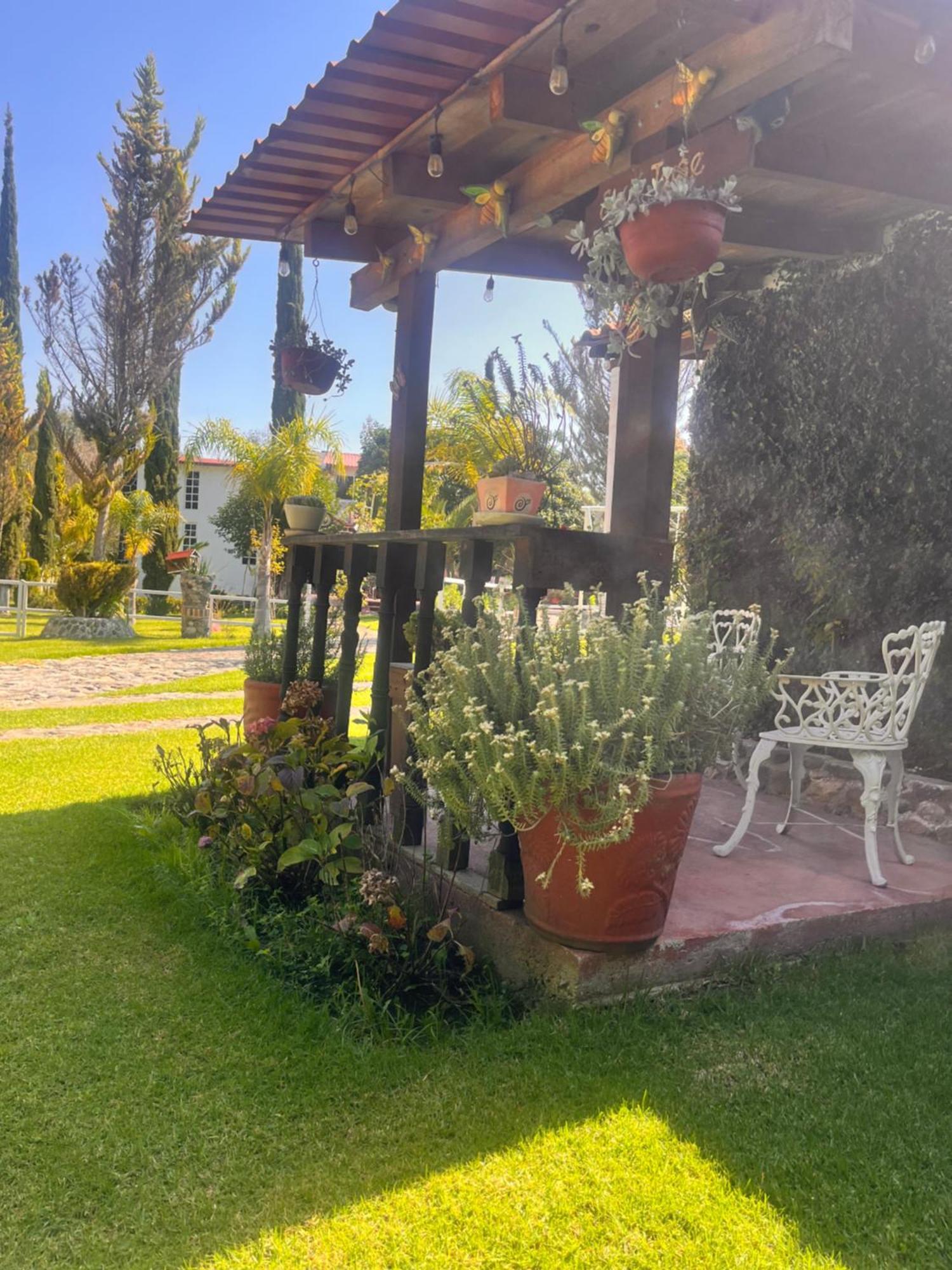 Cabanas Cumbres De Aguacatitla Huasca de Ocampo Exteriér fotografie