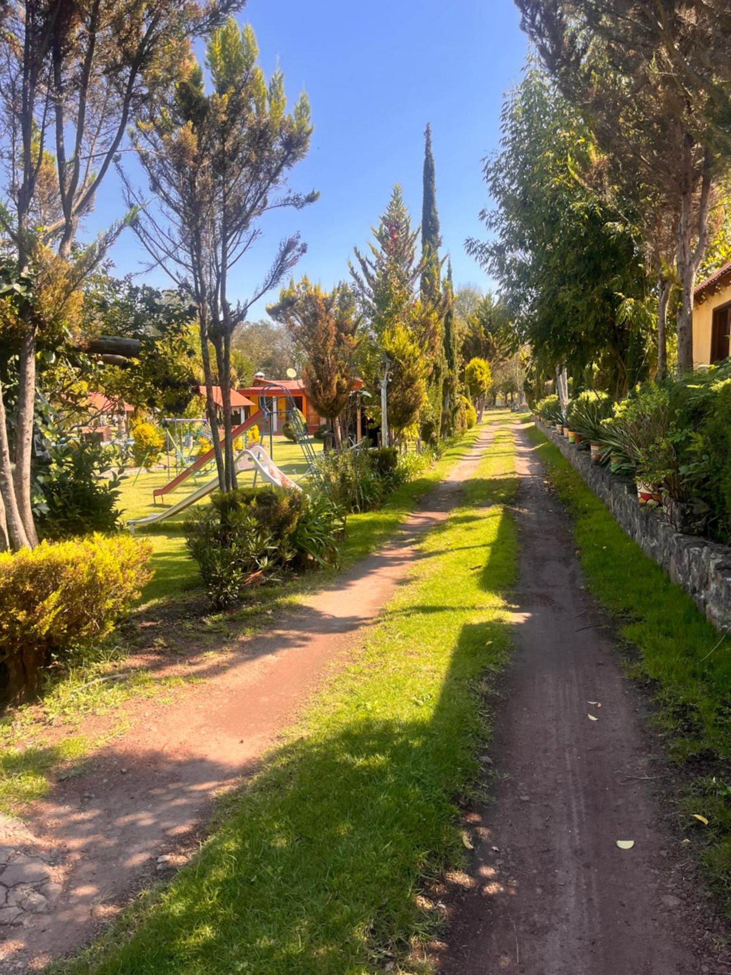 Cabanas Cumbres De Aguacatitla Huasca de Ocampo Exteriér fotografie