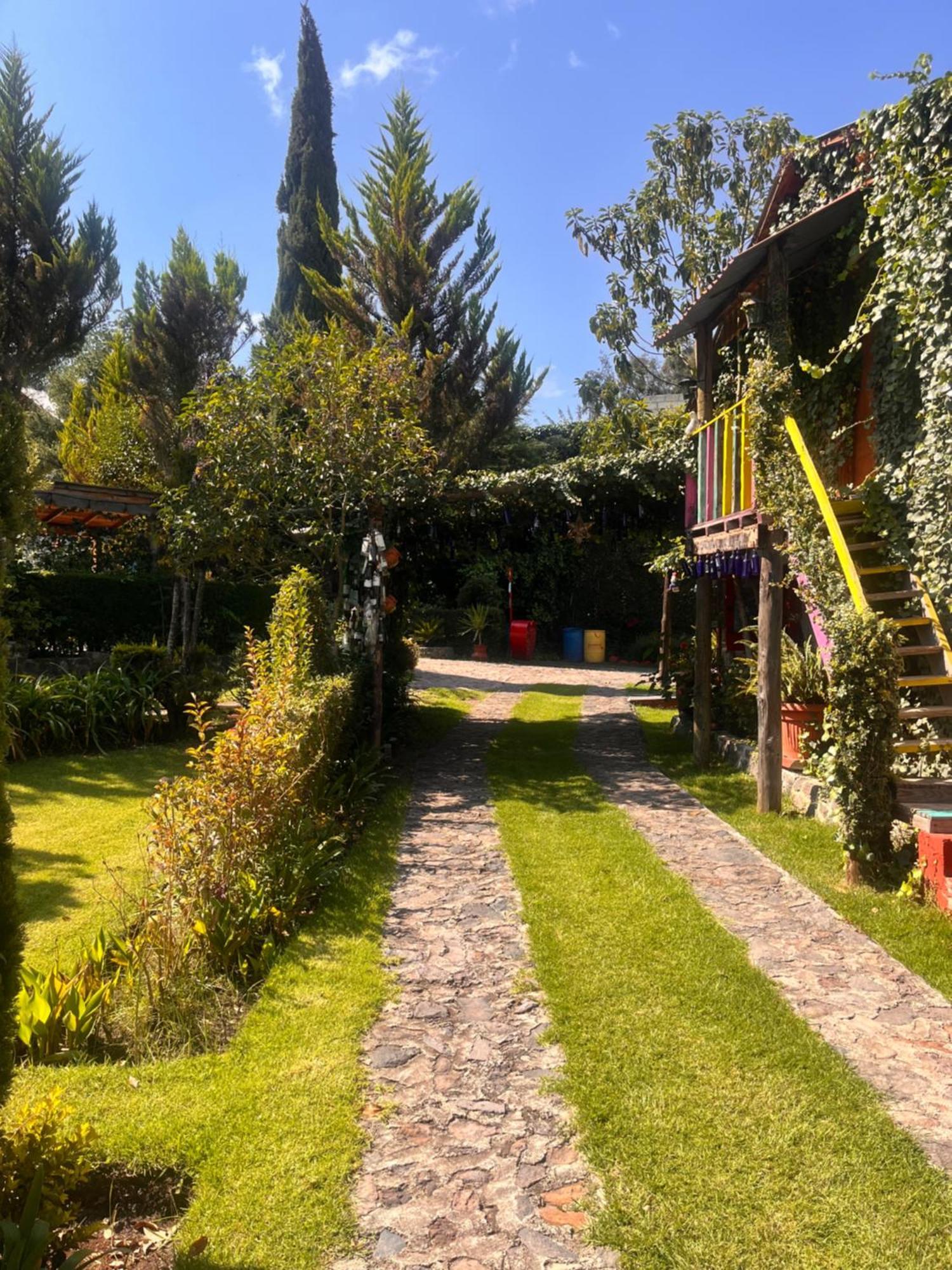 Cabanas Cumbres De Aguacatitla Huasca de Ocampo Exteriér fotografie