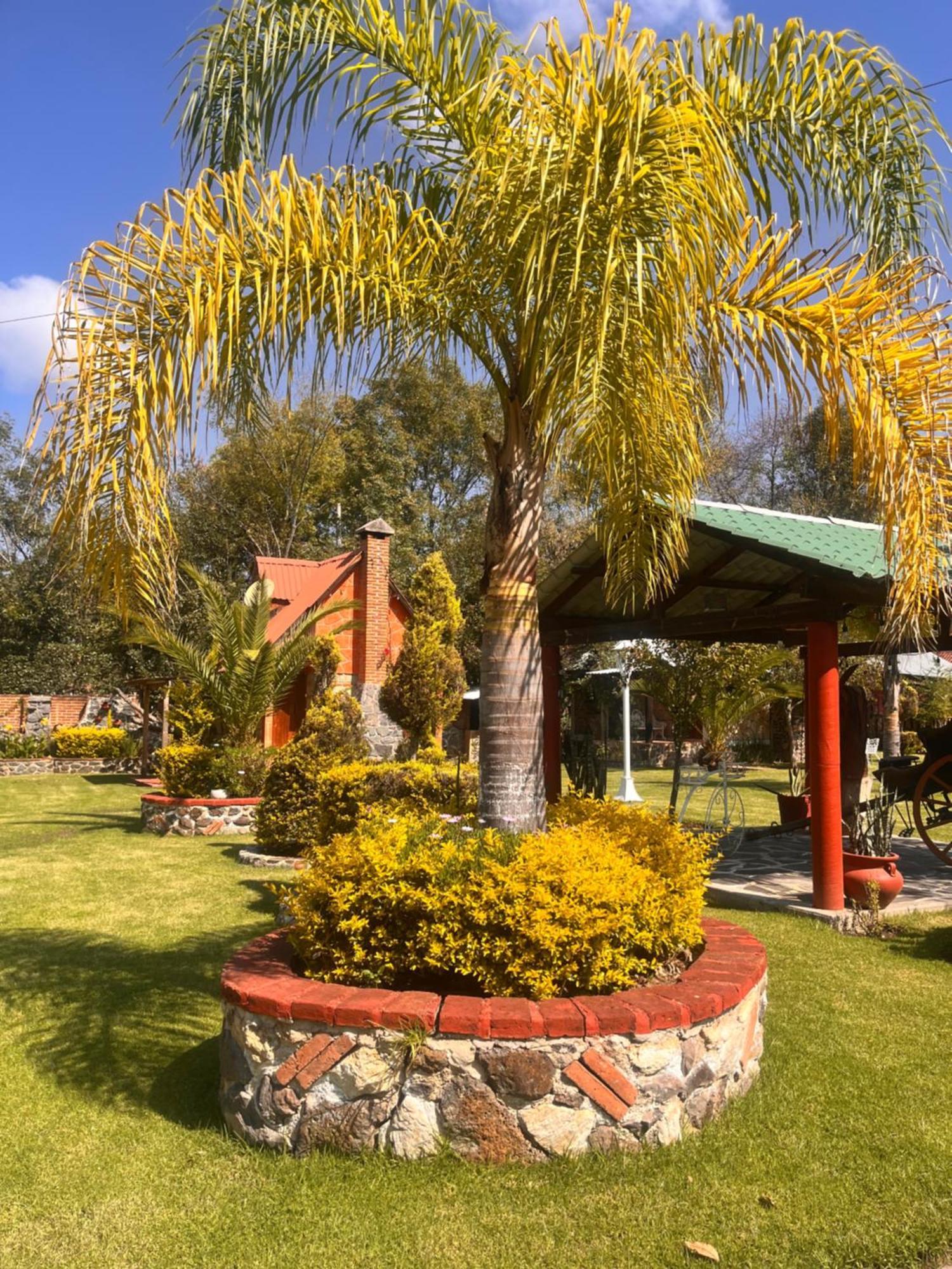 Cabanas Cumbres De Aguacatitla Huasca de Ocampo Exteriér fotografie