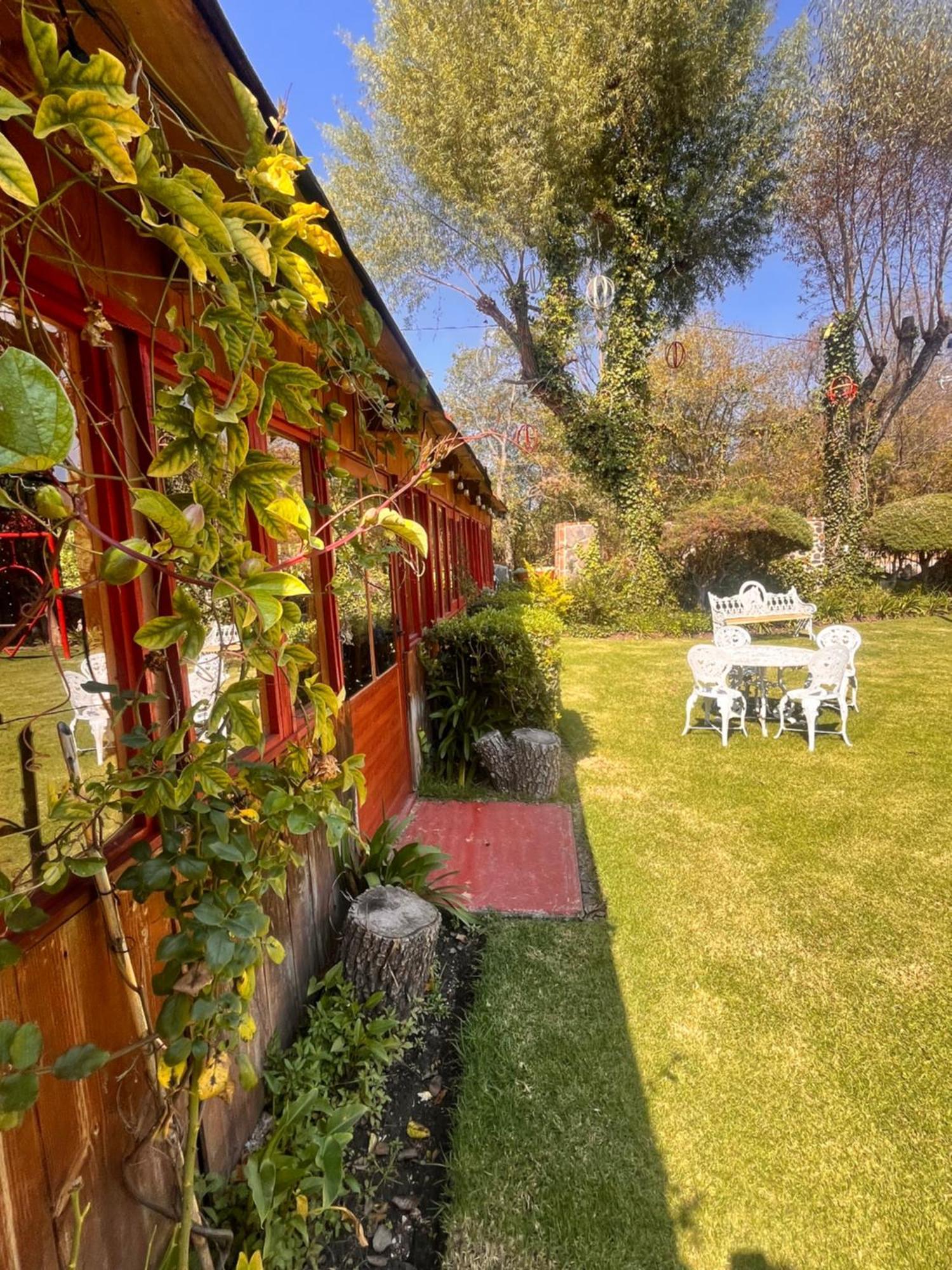 Cabanas Cumbres De Aguacatitla Huasca de Ocampo Exteriér fotografie