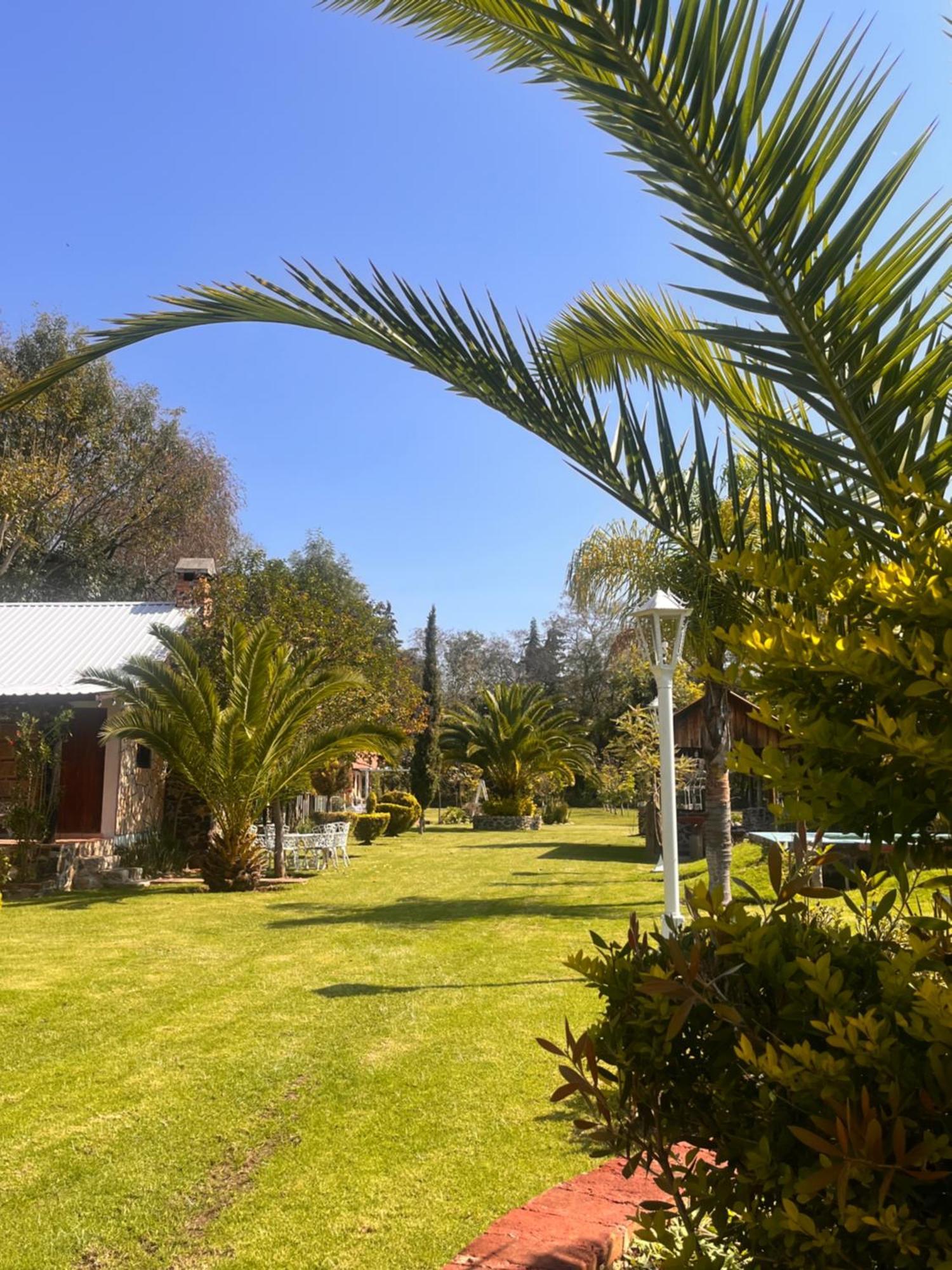 Cabanas Cumbres De Aguacatitla Huasca de Ocampo Exteriér fotografie