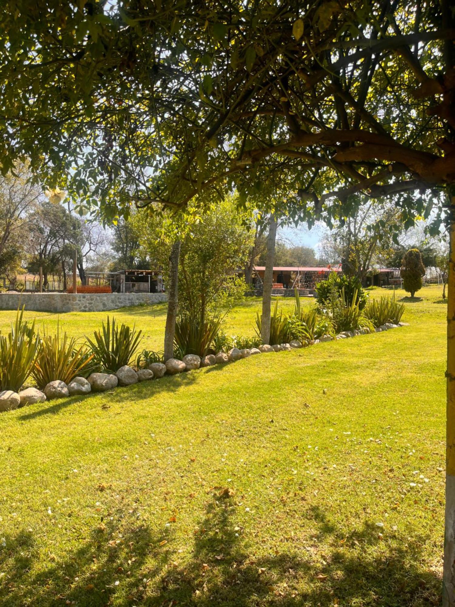 Cabanas Cumbres De Aguacatitla Huasca de Ocampo Exteriér fotografie