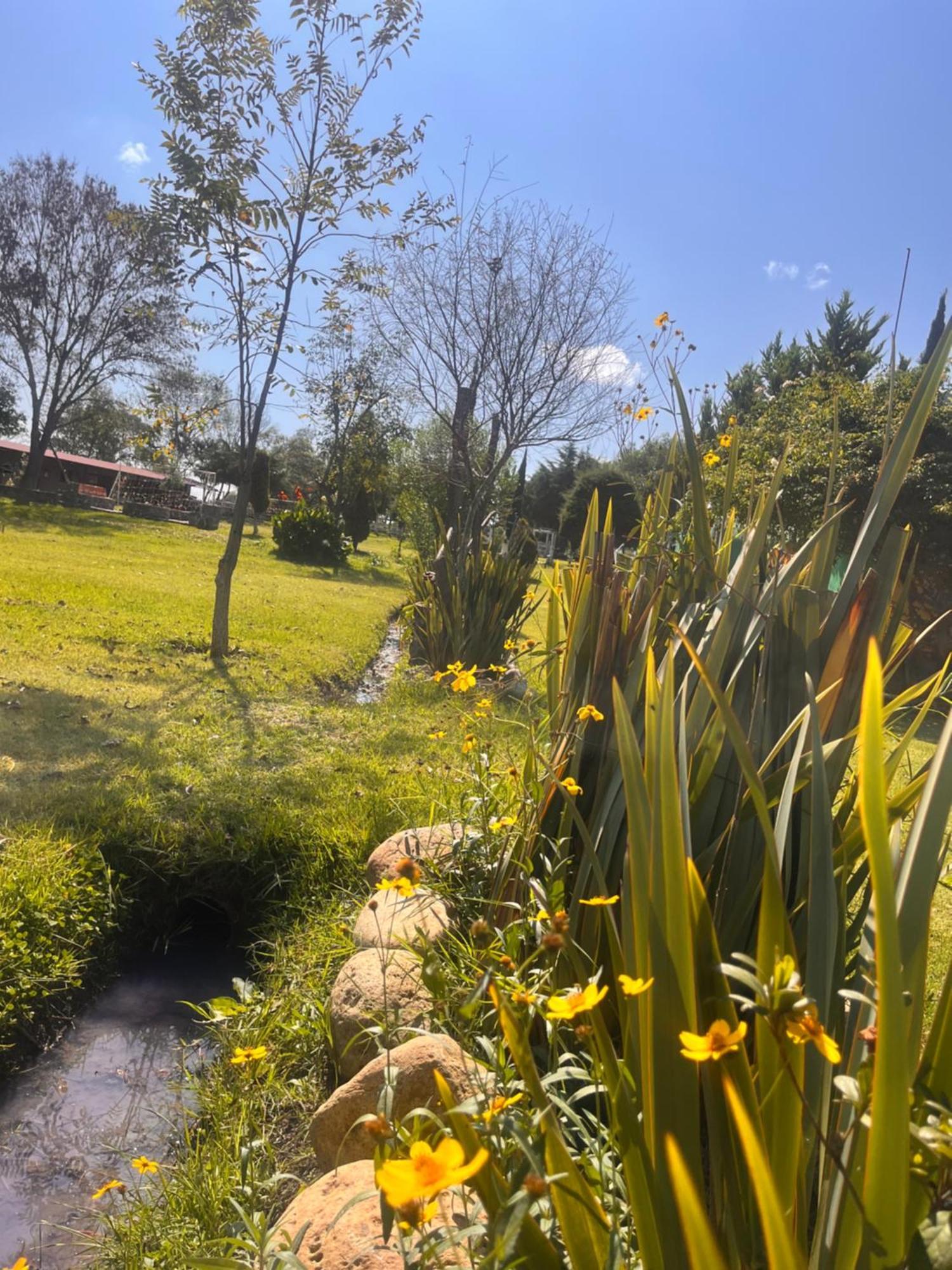 Cabanas Cumbres De Aguacatitla Huasca de Ocampo Exteriér fotografie