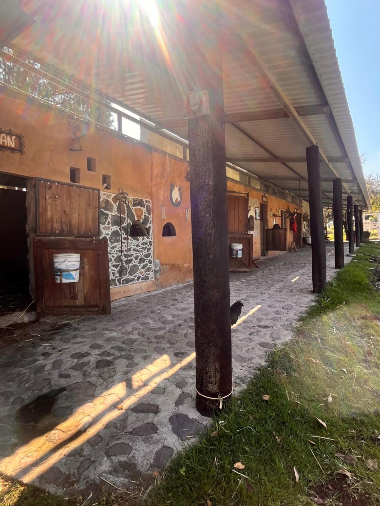 Cabanas Cumbres De Aguacatitla Huasca de Ocampo Exteriér fotografie