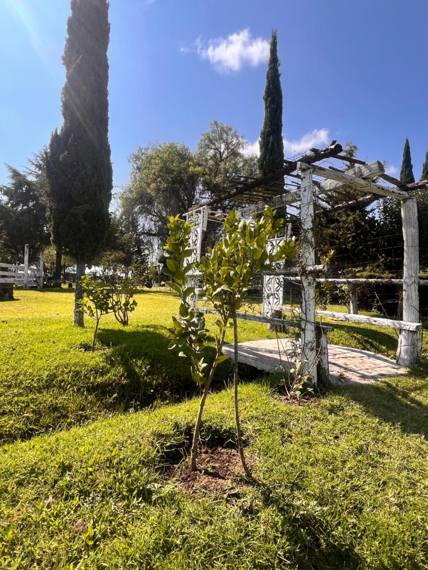 Cabanas Cumbres De Aguacatitla Huasca de Ocampo Exteriér fotografie