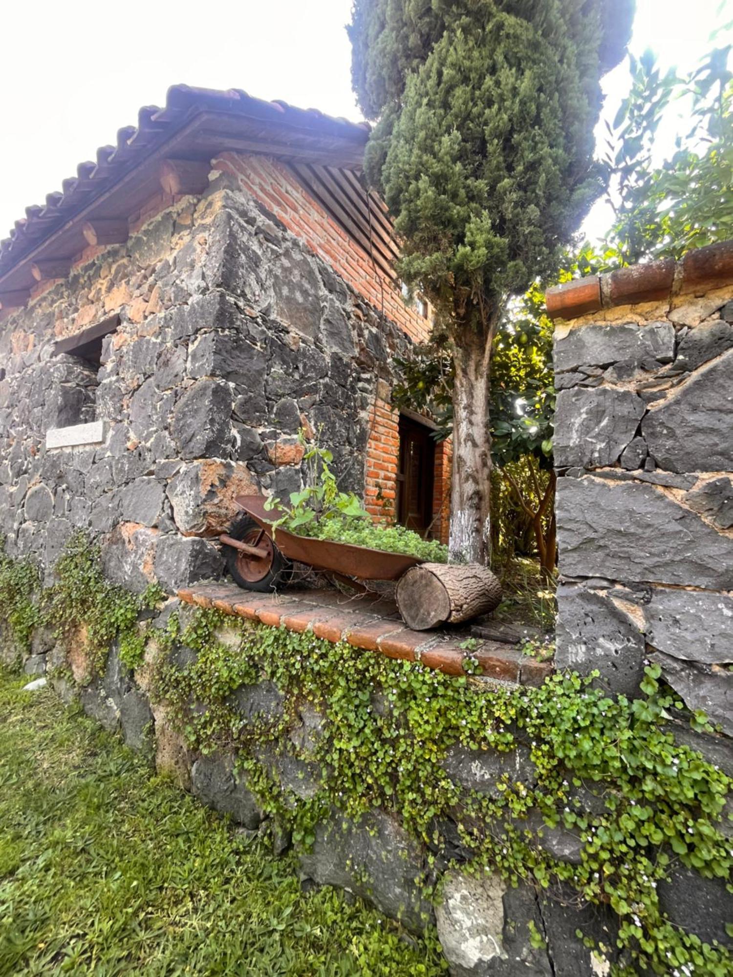 Cabanas Cumbres De Aguacatitla Huasca de Ocampo Exteriér fotografie