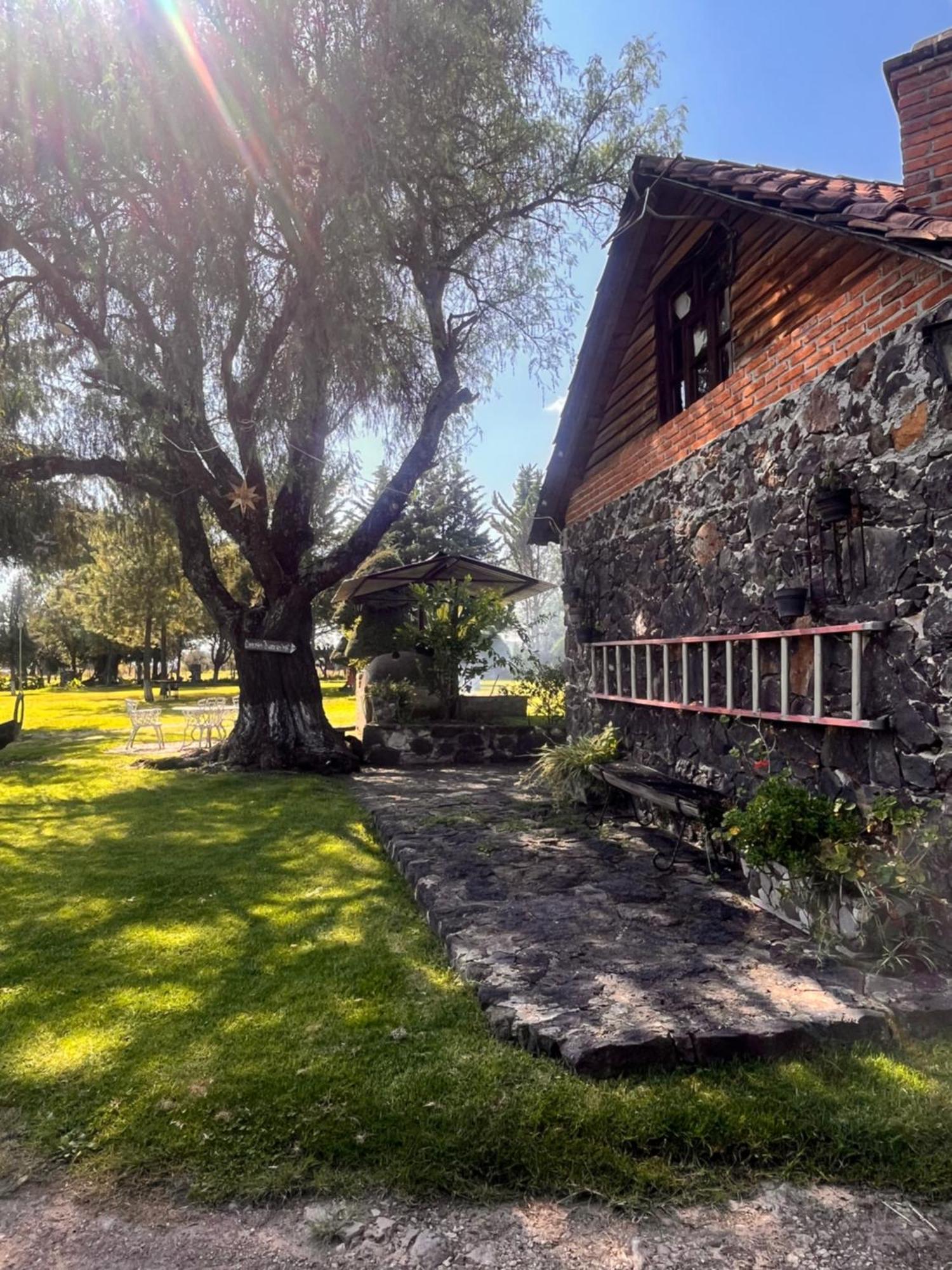 Cabanas Cumbres De Aguacatitla Huasca de Ocampo Exteriér fotografie